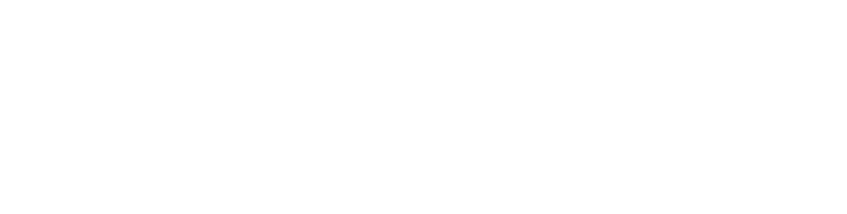Logo der Success Story von Wolf&Thiele